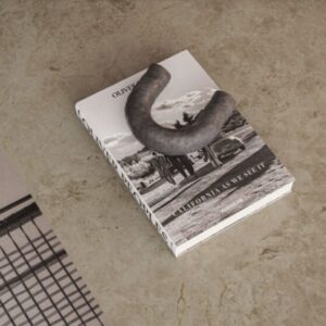 Caesarstone Mosstone