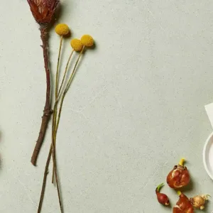 Ecotone Atlantis Quartz worktop adorned with autumnal decorations and a greeting card.