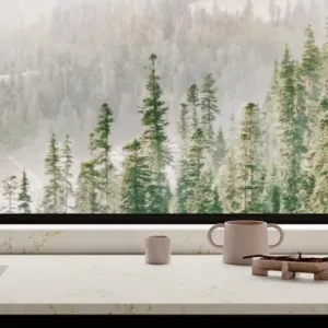 Kitchen interior featuring Ecotone Gold Quartz worktop with scenic view