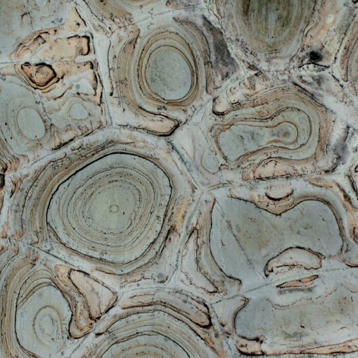Green Turtle Quartzite - Worktops Close-up of Green Turtle Quartzite showing unique patterns and swirls.