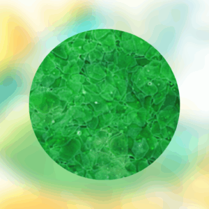 Magna Glaskeramik Green