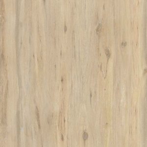 Ascale Boreal Sand