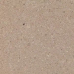 Close-up of Quartzforms Fossil Ammonite surface texture