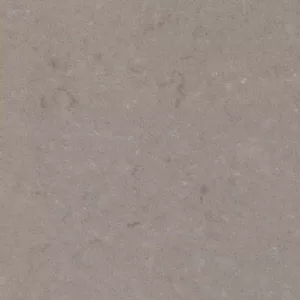 Quartzforms Fossil Nautilus