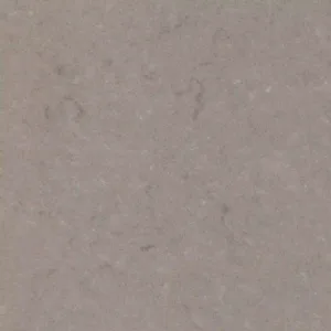 Close-up of Quartzforms Fossil Nautilus stone texture with grey veins.