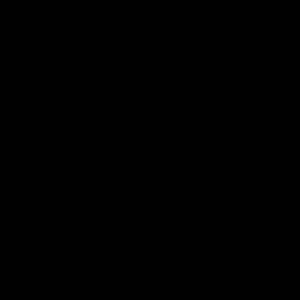 Ascale Grum Black