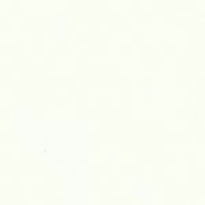 Xtone Carrara White