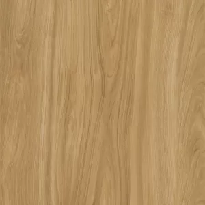 Xtone Edwood Camel