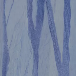 Xtone Macauba Blue