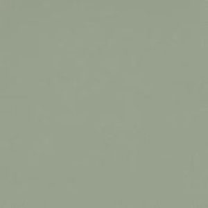 Silestone Posidonia Green