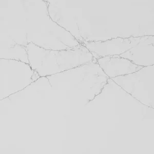 Quartzforms Neptune