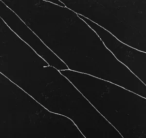 Cimstone Nero Marquina