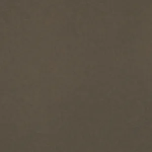 Close-up of CRL Forest Quartz surface texture