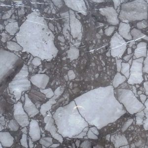 Arabescato Alpino Marble