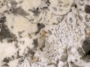 Nevada Granite