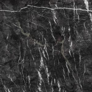 Grigio Carnico Marble