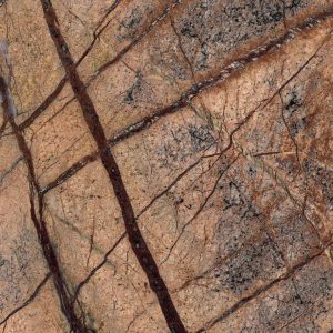 Forest Brown Marble