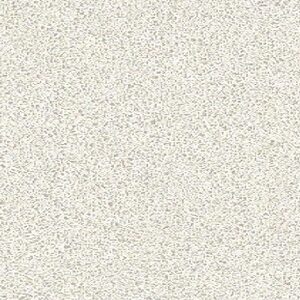 Quarella Blanco Paloma