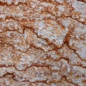 Venetian Tropical Granite