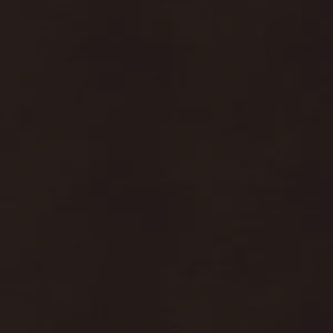 Close-up of Caesarstone Jet Black Quartz surface with subtle grey veining.