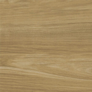 Xtone Ewood Camel